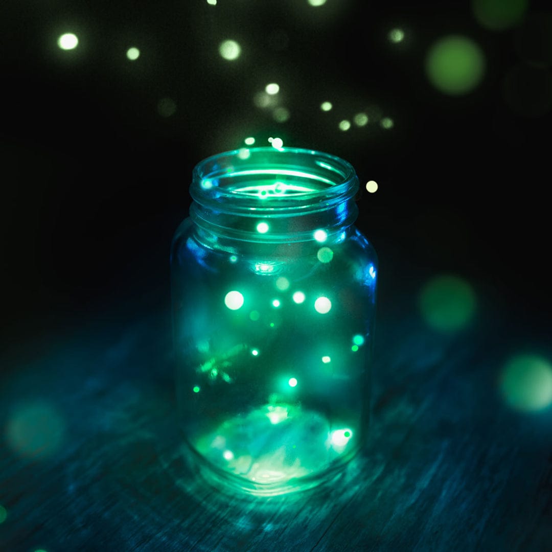 Firefly Glow